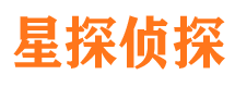 定结市侦探